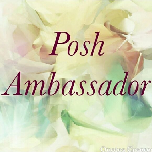 It's official!!! I'm a Posh Ambassador 💄💍 - Picture 1 of 1